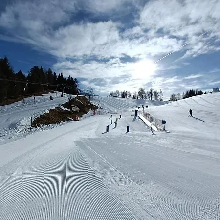 Апартаменты Landhaus Waidmannsheil