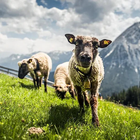 Apartmán Waidmannsheil Seefeld in Tirol