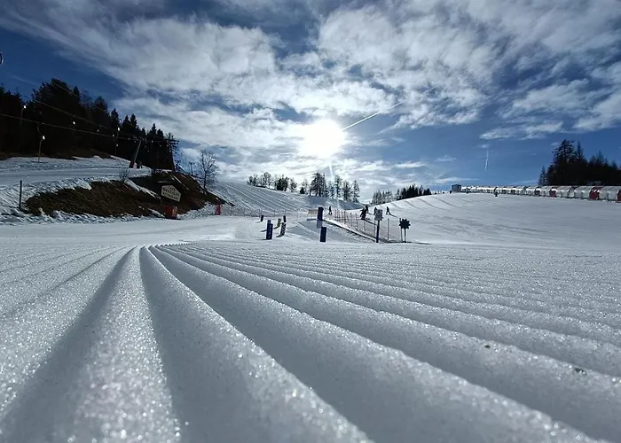 Waidmannsheil Daire *