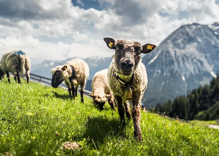 Daire Waidmannsheil Seefeld in Tirol